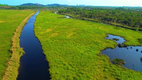 Aerial view over beautiful wetlands