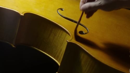 Craftsman Applying Varnish to Cello Close Up