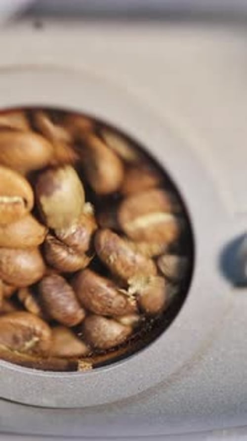 Control Window of a Coffee Roasting Oven Allows you to Observe Raw Coffee Beans