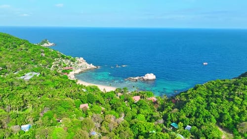 Beach and rocks with green plants, coconut trees and clear sea water.