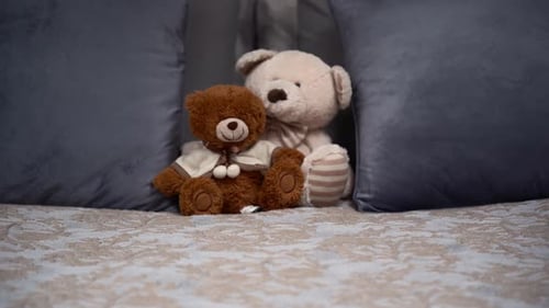Two Teddy Bears on the double, grey bed. From left to right camera move.