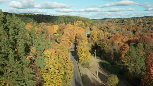 AERIAL: Scenic autumn landscape with colourful fall forest near the road