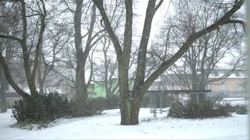 Snow Falling on Bare Trees in a Winter City