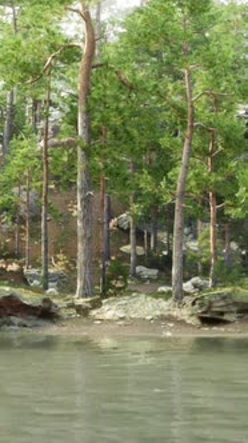 Calm Pine Forest and River Retreat Vertical Background