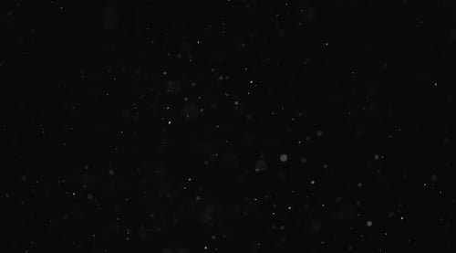 Dust Particles