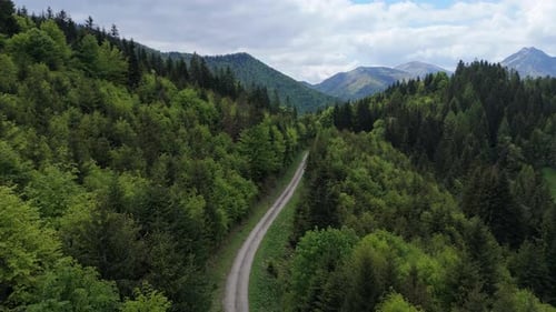 Aerial Drone Flight Above Forest Road Winding Through Carpathian Mountains in Spring