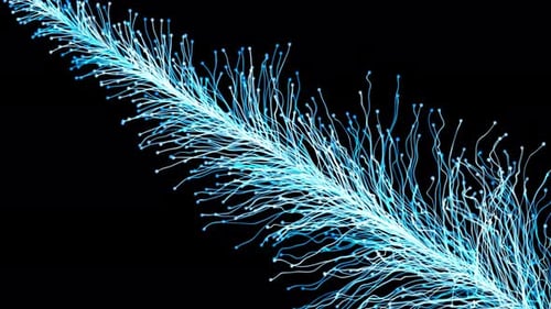 Rama o flor de partículas abstractas de fibra óptica futuristas sobre un fondo negro
