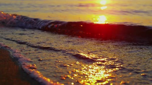 Closeup Sea Waves Breaking Evening Seashore in . Golden Sunlight Reflecting