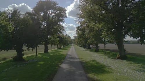Flight over small empty alley road with trees in countryside.
Smooth aerial view flight fly through