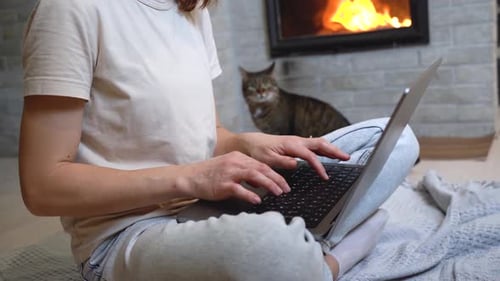 Adult Types on Laptop with Fireplace and Cat