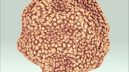 Detaillierte Nahaufnahme einer abstrakten biologischen organischen Sphäre