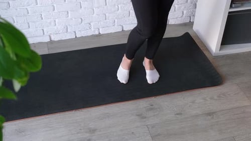 sportive woman working out doing Pilates at home