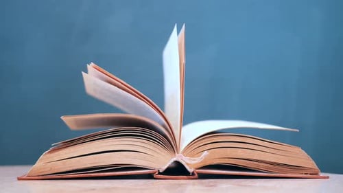 Pages Turning in an Open Book