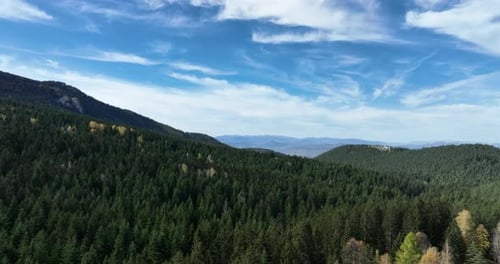 A drone flight over mostly coniferous forest and pine trees with a nice cloudy sky in the background