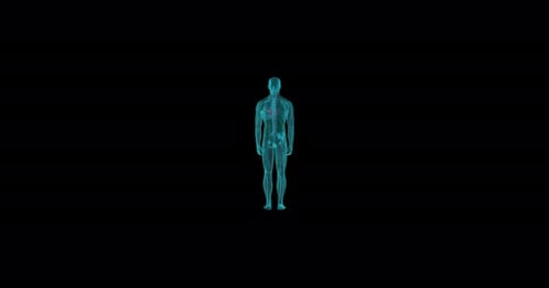 3D Holographic Human Body Scan Rotation Loop