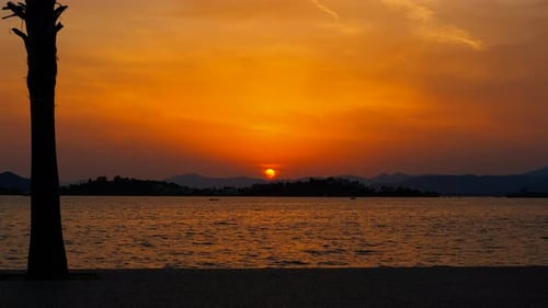 Brennender Sonnenuntergang über ruhigem Meer mit Palmen-Silhouette