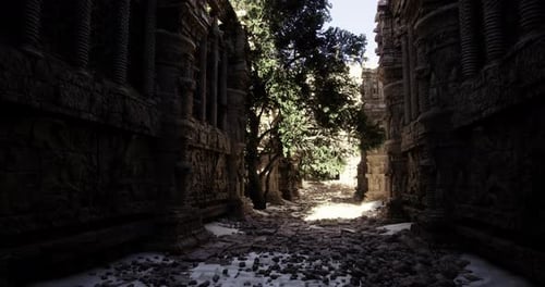 Ruines anciennes avec des arbres envahis par la végétation dans un chemin ensoleillé pendant la journée