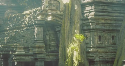Ancient Temple Ruins Entwined with Nature in a Misty Environment