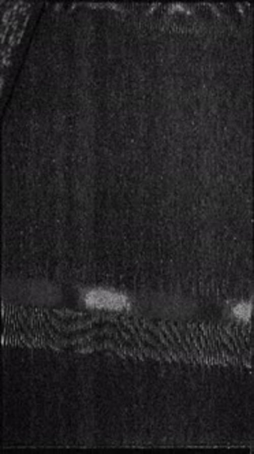 Vertical Glitch Analog Static Noise Effect