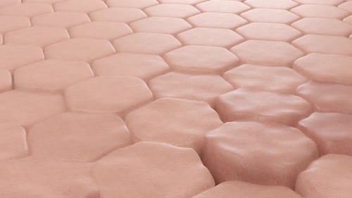 Close-Up of Textured Skin Cells