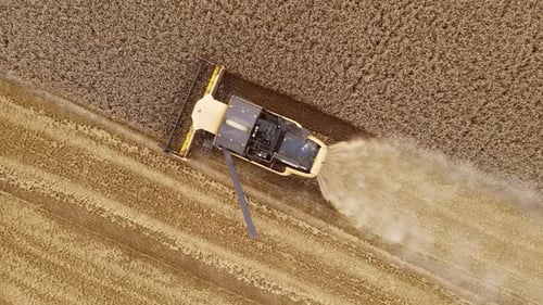 Combine Harvester Slowly Opens Auger for Unloading Grain While Cutting Yellow Wheat Crops in Field