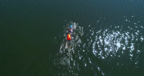 Professional Swimmer Swims in Open Water Top View