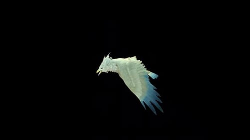White Bird Fly Slow