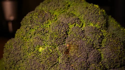 A close up shot of broccoli standing on a rotating plattform