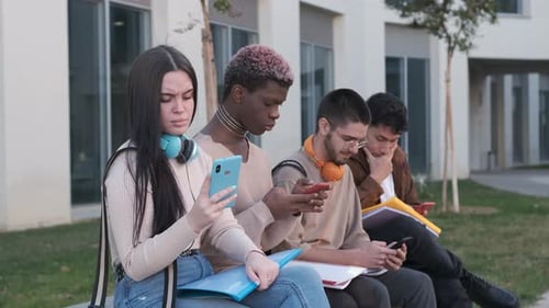 Multiracial Group of Friends Using the Mobile Sitting in a Park