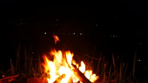 bonfire