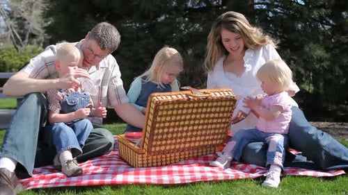 Family Having Picnic in Park 1-2