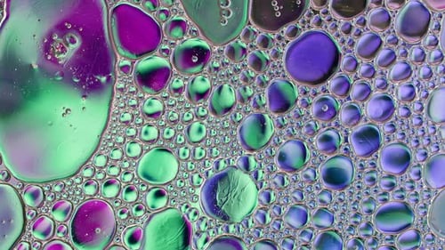 Abstract Colorful Food Oil Drops Bubbles And Spheres Flowing On Water A Surface 49