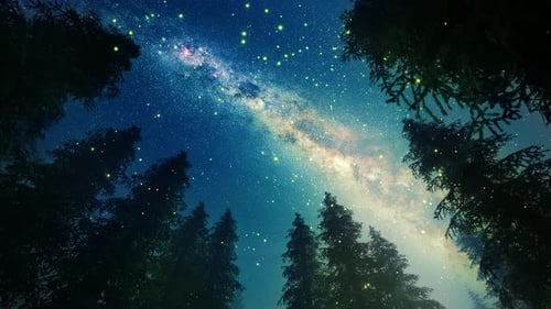 Enchanted Forest Under Twinkling Milky Way Night Sky
