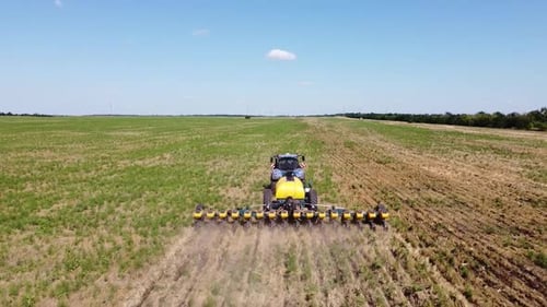 Blue Tractor O.A. Planting Canola On No Till Field