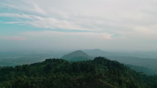 Tropical Forest Park
