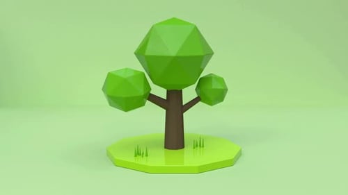 Niedriger Polybaum auf grünem Hintergrund