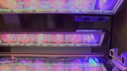 Tanning Bed Machine Lights Up