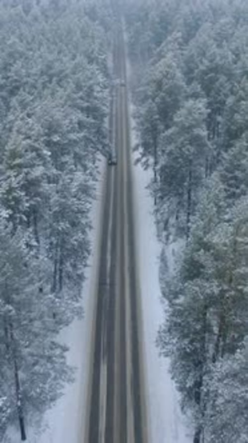 Drive Through a Snowcovered Forest Road During Winter