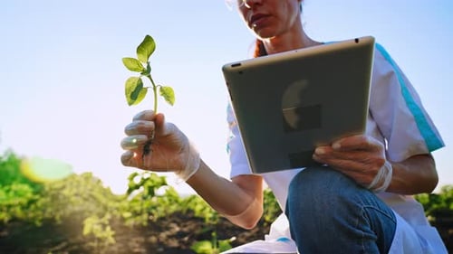 Young Woman Agronomist Holds Digital Tablet in Field Uses His Proposal to Record and Account for
