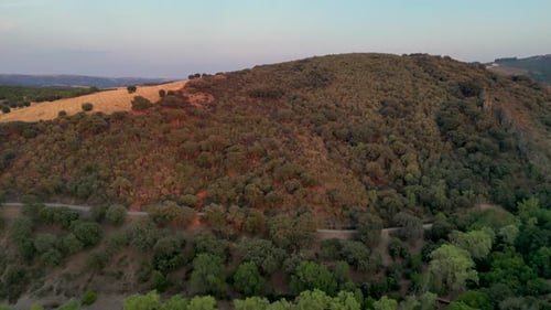 Vallée végétalisée près du château Templario de Alba de Aliste à Losacino, Zamora, Espagne. Prise de vue aérienne