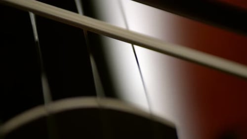 Cello Bow Playing Strings, Close Up View