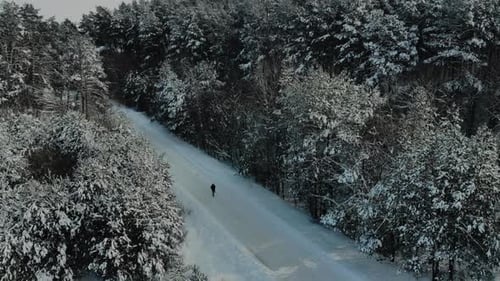 Man walking in winter pine forest landscape