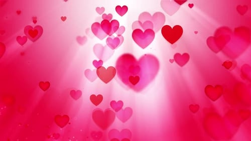 Valentines Hearts Background Loop