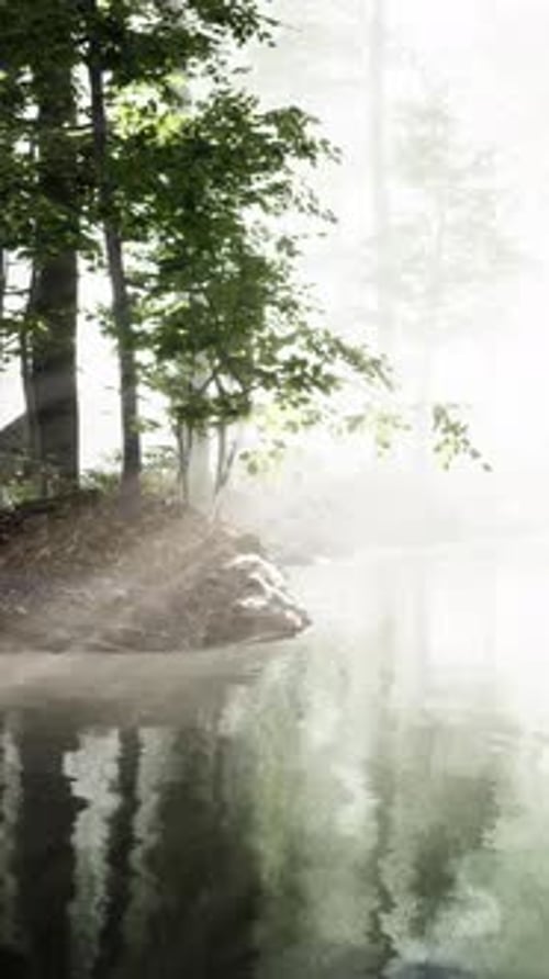 Pond in a Forest with Fog