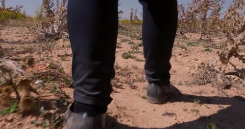 Tired Man Walking In An Arid Region