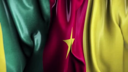 Cameroon Waving Flag