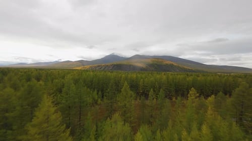 Experience the tranquility of expansive green forests and majestic mountains as golden autumn hues e