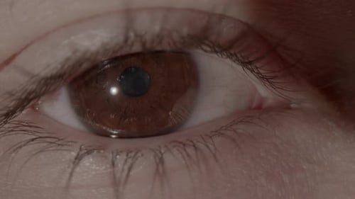 Braunes Auge schaut sich um und blinzelt, extreme Nahaufnahme