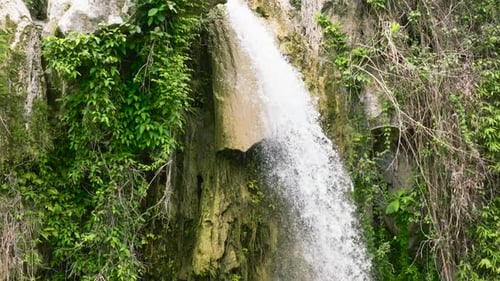 Waterfall in the Tropical Mountain Jungle