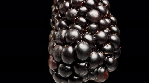 The blackberry is viewed from the bottom up while it rotates on a black background. Close up